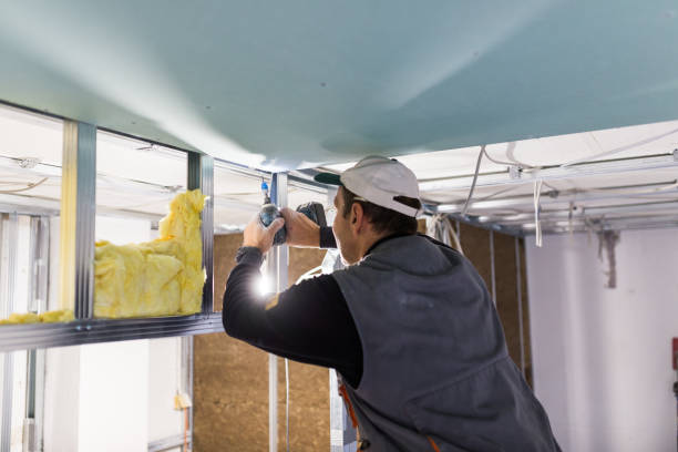 Best Eco-Friendly Insulation in Chackbay, LA