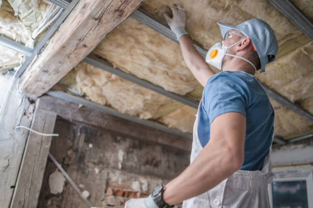 Types of Insulation We Offer in Chackbay, LA