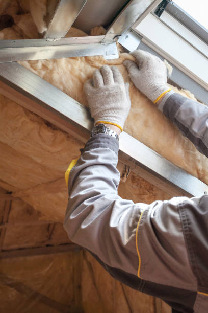 Best Specialized Insulation Services in Chackbay, LA