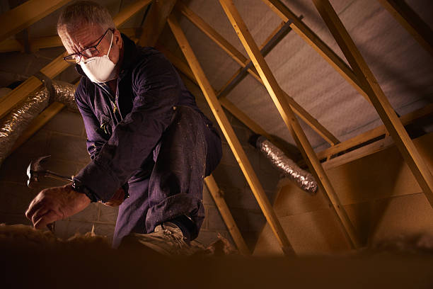 Best Commercial Insulation in Chackbay, LA